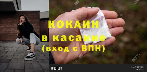 прущие грибы Зеленокумск